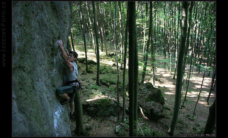 Dave - Dachsbau, Isegrim 8-